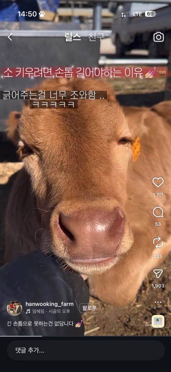 내가손톱길은이유