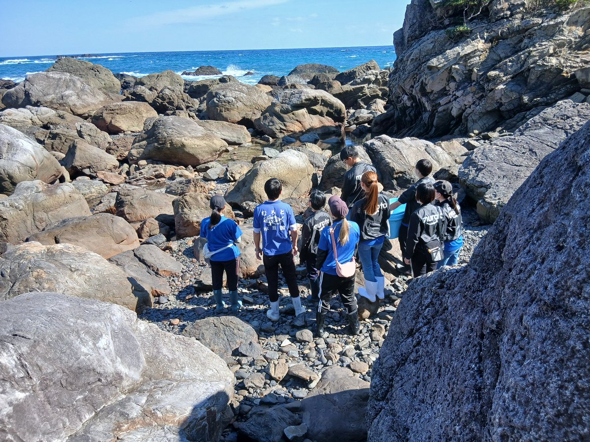 先日クジラが漂着。

重機が入れず、廃校水族館で対応できませんか？

と問われ、全国から集まった学生も多いので、研修としてやることに。

現場に行ったら…。

いない…。

途方に暮れる写真です。

その後、無事に見つけました。