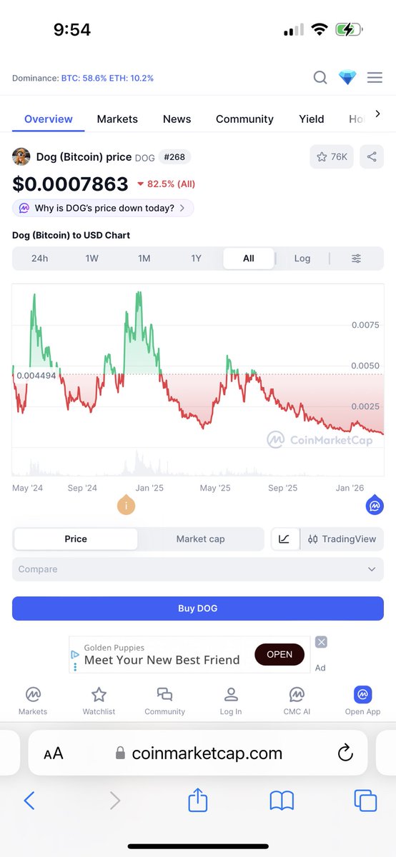 Dogtomoon tweet media