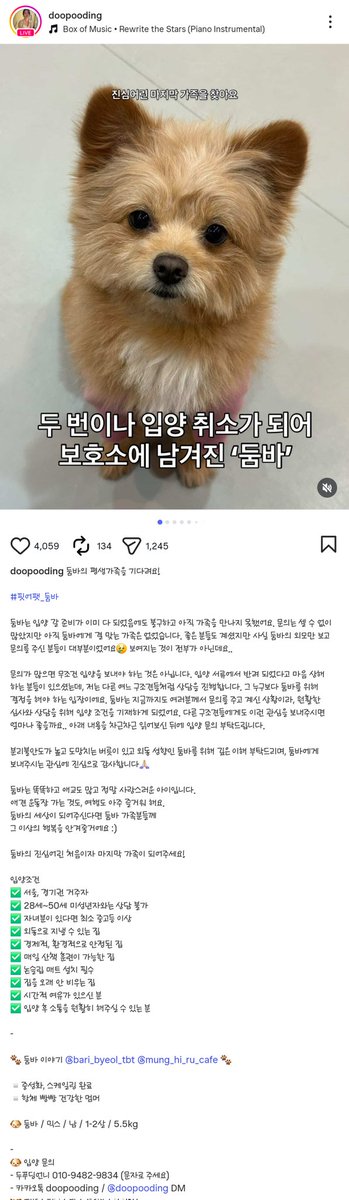 Mochaaaaa190701's tweet photo. https://t.co/eDhwOKjXN8

이 친구가 계속 마음에 남아서 찾아보니 아직 가족을 못 찾았나봐요.
귀여운 복실이 둠바의 가족이 되어주실 트위터하는 사람 어디 없나!
제 트위터 인생 1n년 두번째로 제 마음에 콕 꽂힌 예쁜 복실복실이 가족이 트위터 해 주셨으면 좋겠다!
5.5kg이면 모카랑 비슷해요! https://t.co/DrWwkUY4FS