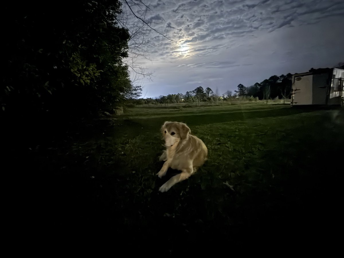 UAPDr's tweet image. Full-moon Rorschach test.

Taken outside my house last night.

I only noticed it moments ago.

Zoom in. 1st Image.

Tell me what you see.

#UAP #BloodMoon