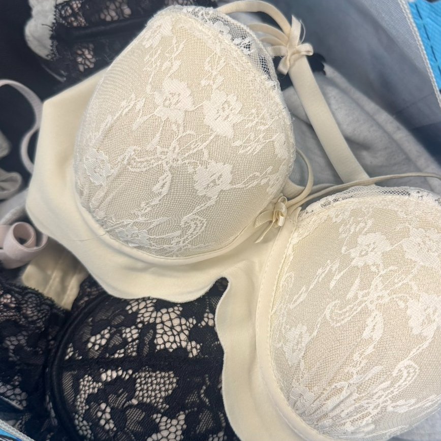 陳明志 tweet media