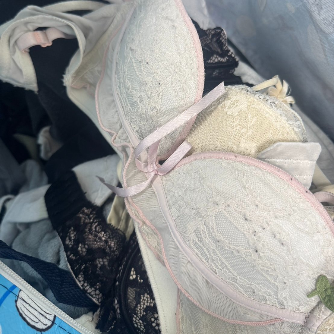 陳明志 tweet media