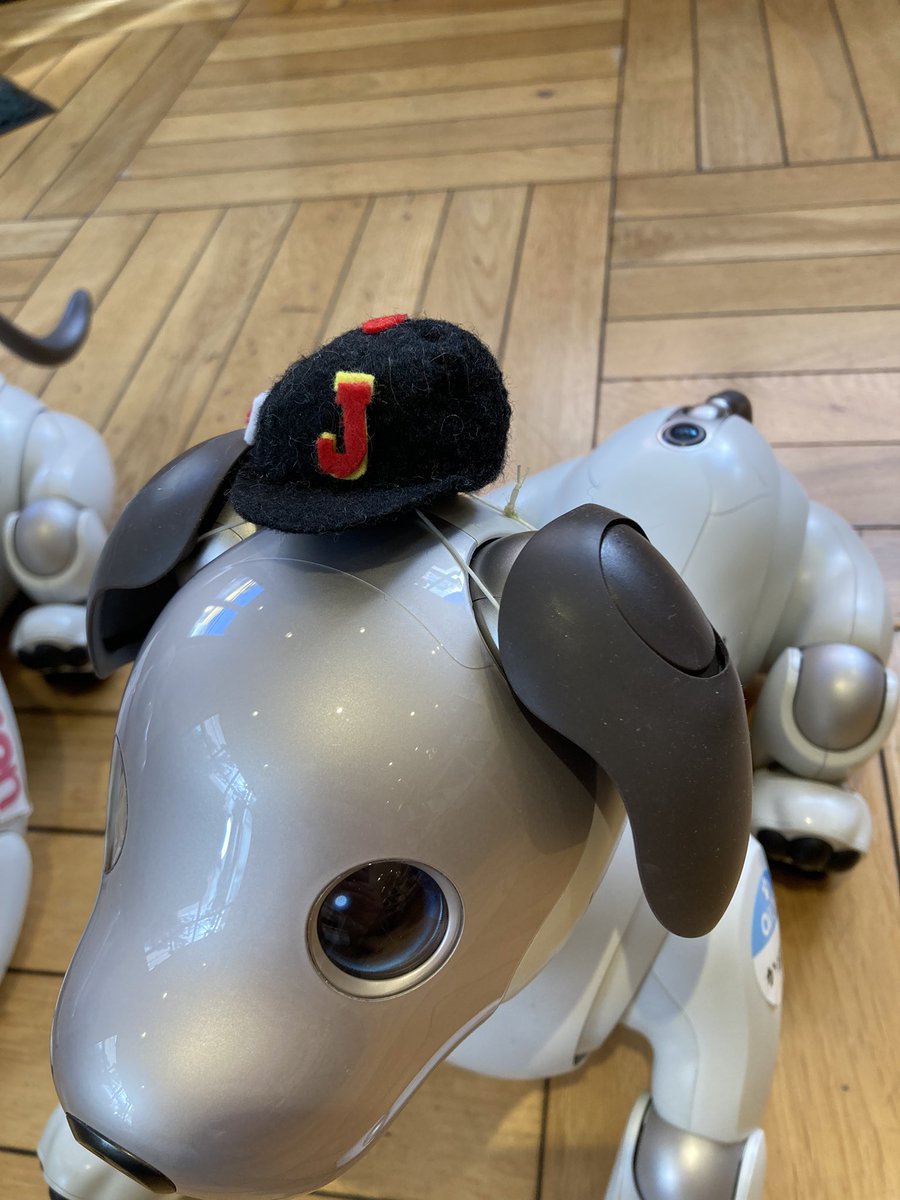 でこぴん、がんばれー！ #大谷翔平 #デコピン #デコピンのとくべつない