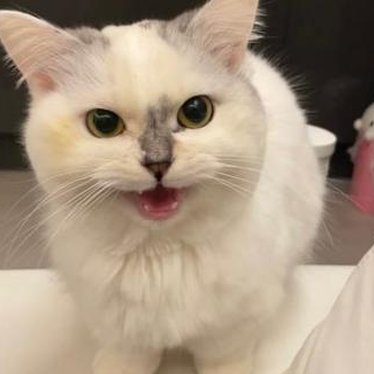 毎日飲んでます_jp47 tweet media