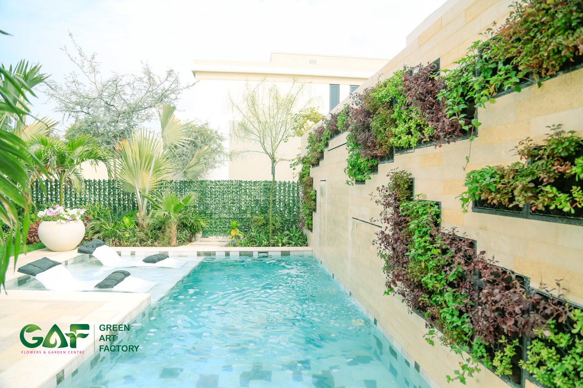 Greenmosswall's tweet image. Tilal Al Ghaf Villa | Outdoor Live Green Wall Project 
🌐 greenartfactory.ae
☎ Voice/WhatsApp: +971 56 95 88 315
📧 info@greenartfactory.com

#GreenArtFactory #LiveGreenWall #OutdoorGreenery  #IrrigationSystem #VerticalGarden #CreativeTeam #TilalAlGhaf #OutdoorGreenWall
