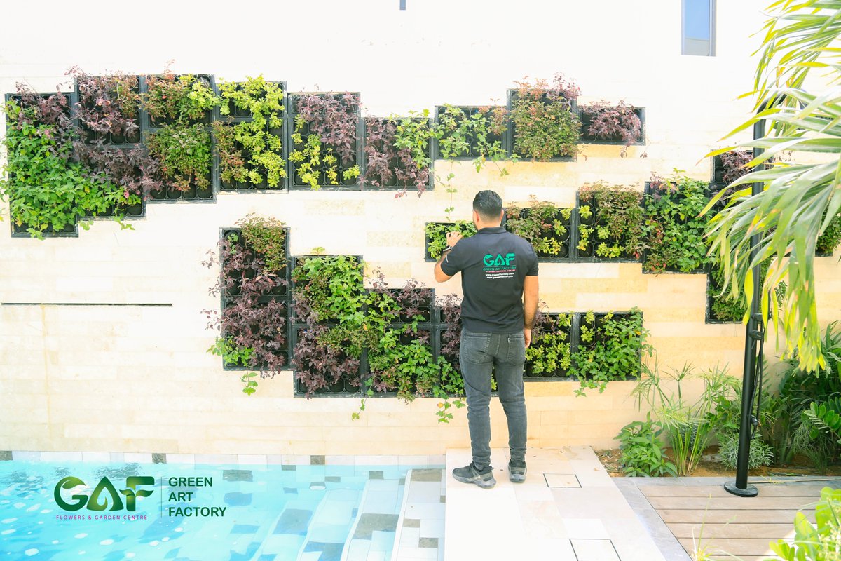 Greenmosswall's tweet image. Tilal Al Ghaf Villa | Outdoor Live Green Wall Project 
🌐 greenartfactory.ae
☎ Voice/WhatsApp: +971 56 95 88 315
📧 info@greenartfactory.com

#GreenArtFactory #LiveGreenWall #OutdoorGreenery  #IrrigationSystem #VerticalGarden #CreativeTeam #TilalAlGhaf #OutdoorGreenWall