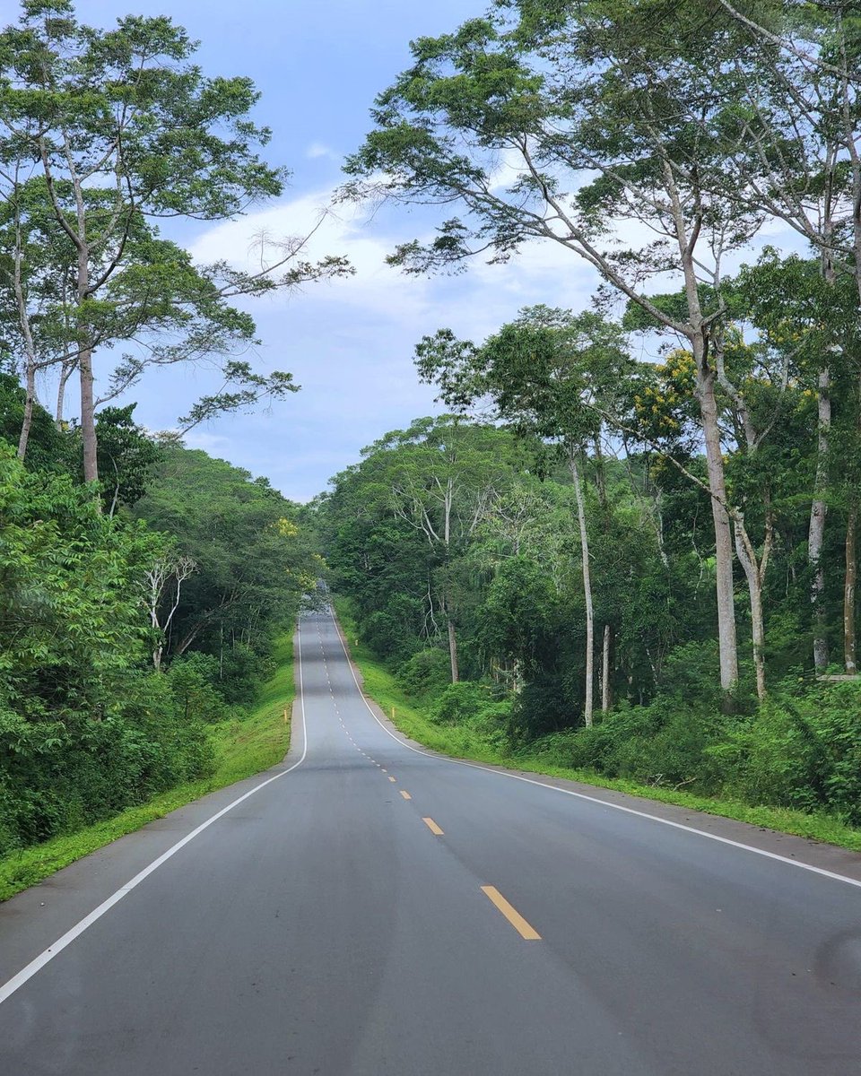 Roaming Uganda tweet media