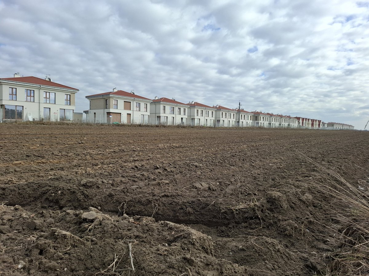 Michał Wojtczuk tweet media