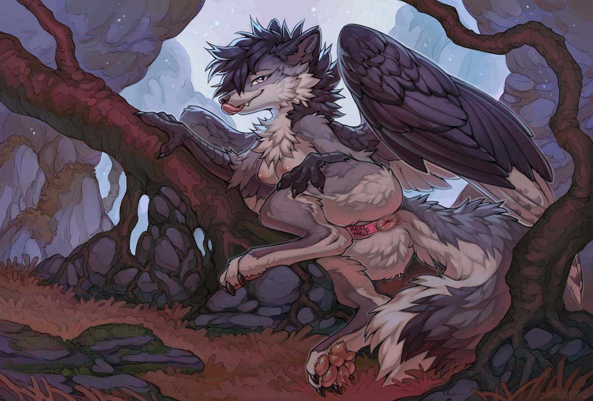 Hioshiru 🔞 tweet media