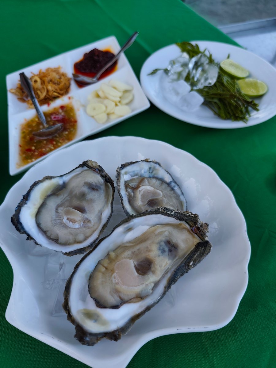 MagicHandTight✌️ tweet media