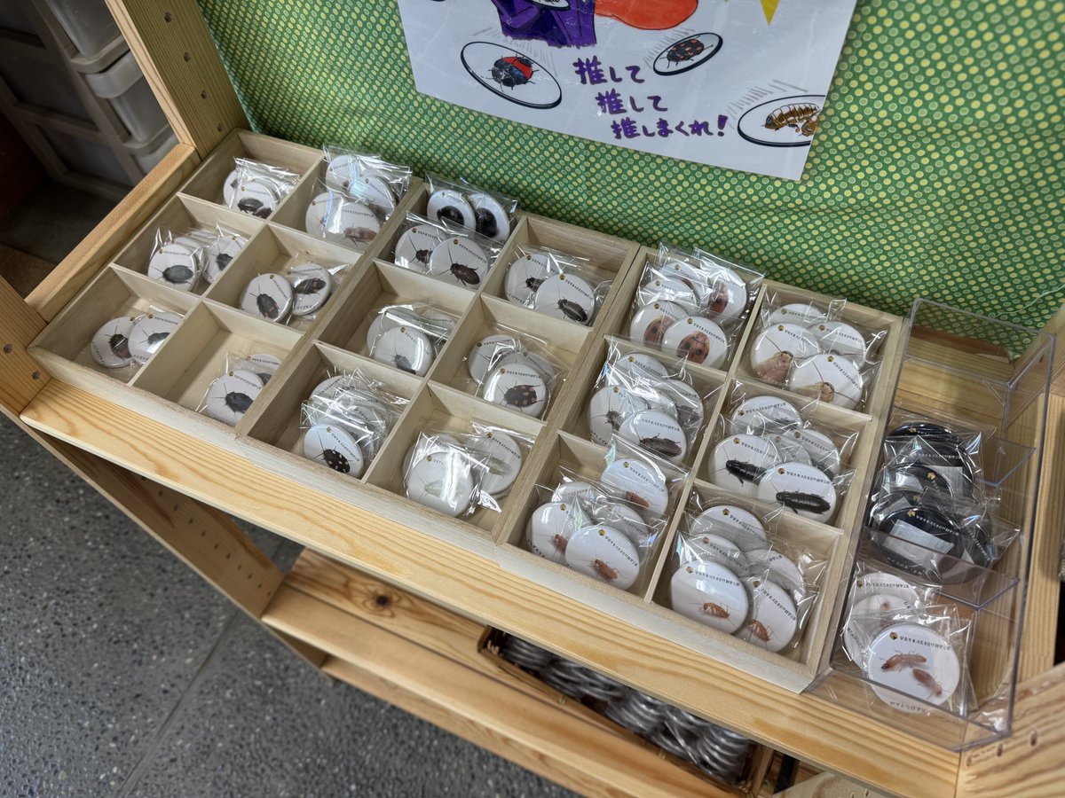 竜洋昆虫自然観察公園【公式】 tweet media