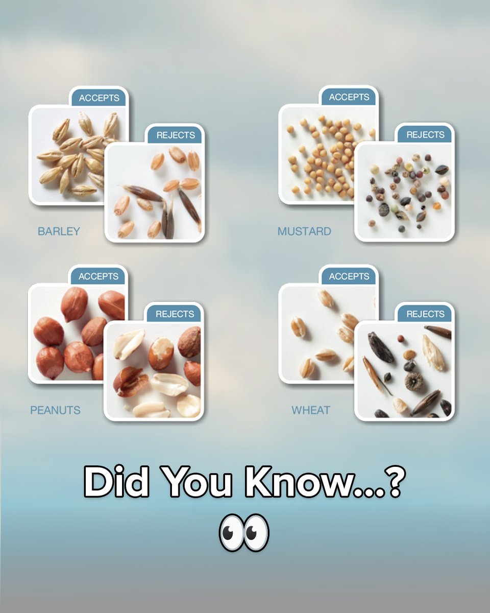 Vistasort tweet media