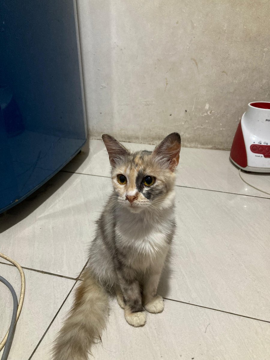 Unpadfess tweet media