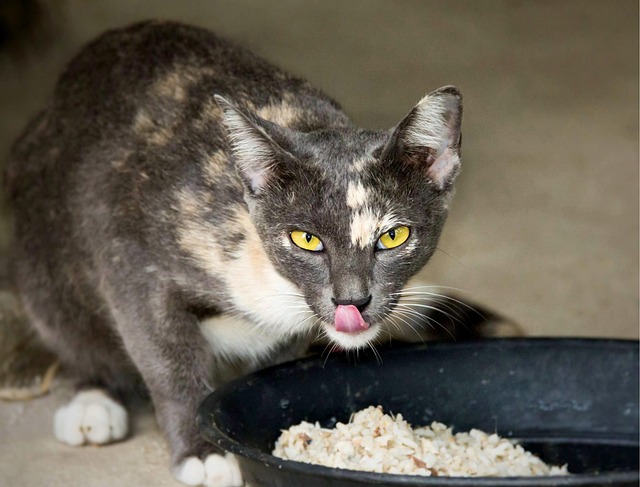 Marc Trejo tweet media