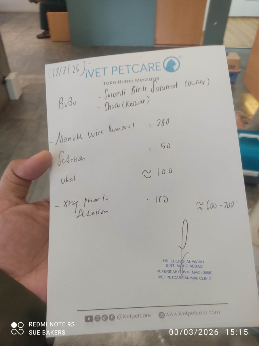 adiknfriends's tweet photo. Salam, jom bantu bubu lagi sekali, bubu perlukan kos untuk buka dawai &amp; button, cabut tube dan treatment flu sbb bubu felv.terima kasih in advance sudi bantu derma dan retweet. https://t.co/6FJUqnLtAR