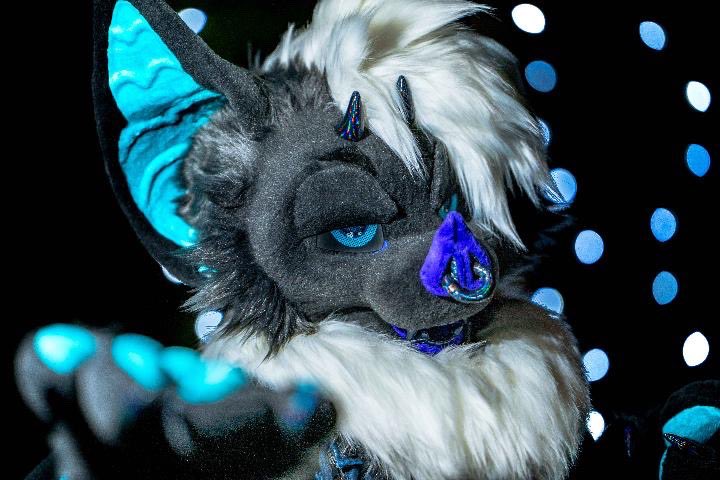 Mercy the Bat tweet media