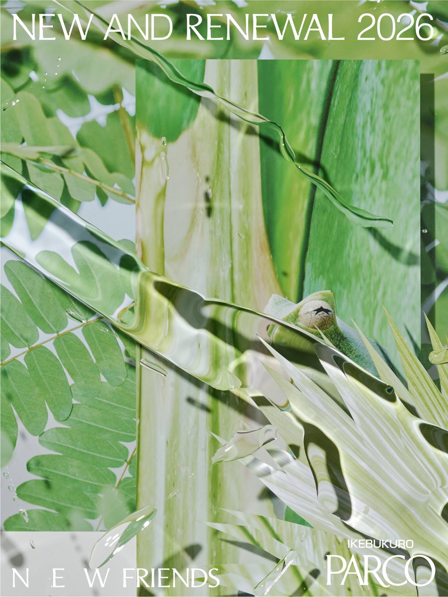 釣部東京 tweet media