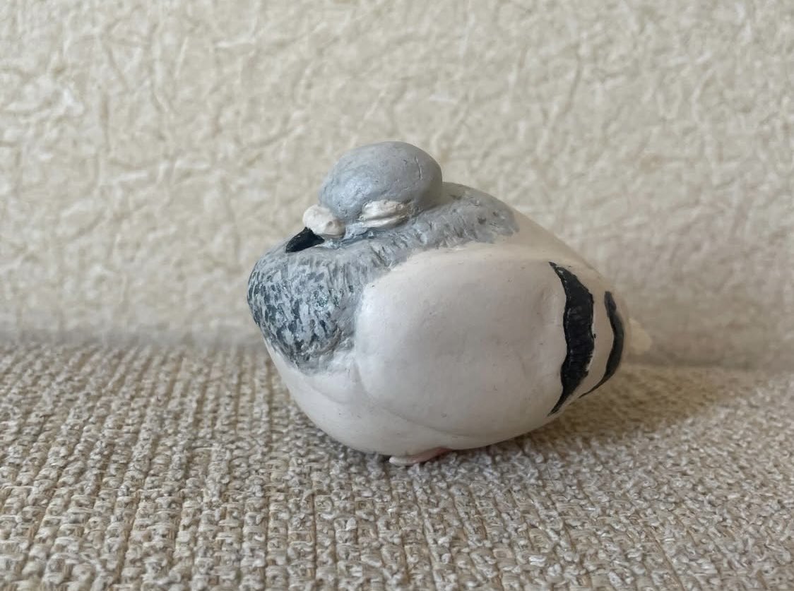 坂崎麻結 tweet media