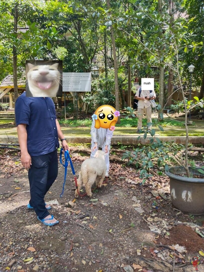 UNNES MENFESS🍌 tweet media