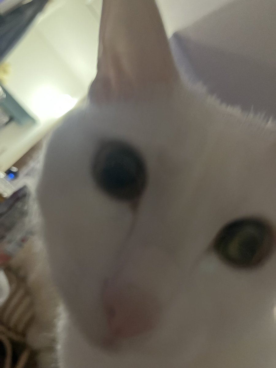 水野しず tweet media