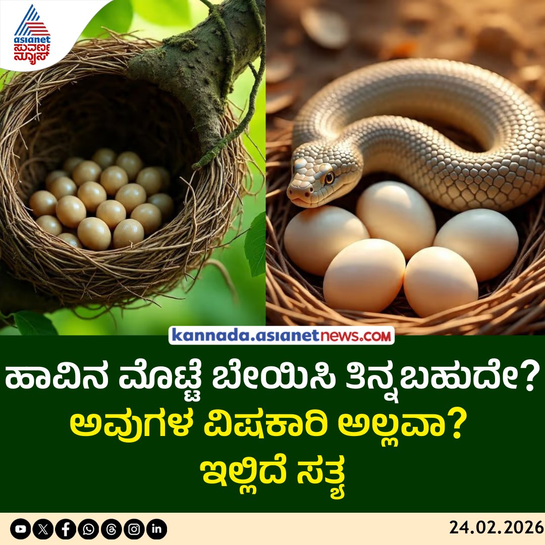 AsianetNewsSN's tweet image. ಅಯ್ಯೋ ಹಾವಿನ ಮೊಟ್ಟೆ ತಿನ್ನೋದಾ? ಏನಪ್ಪಾ ಇದು ಹೊಸ ಚರ್ಚೆ?
ಅದು ವಿಷಕಾರಿ ಅಲ್ಲವಾ?

Read to know more: kannada.asianetnews.com/gallery/food/c…

#snakeeggs #poisonous #edible #foodhabits #viral #KannadaNews #AsianetSuvarnaNews