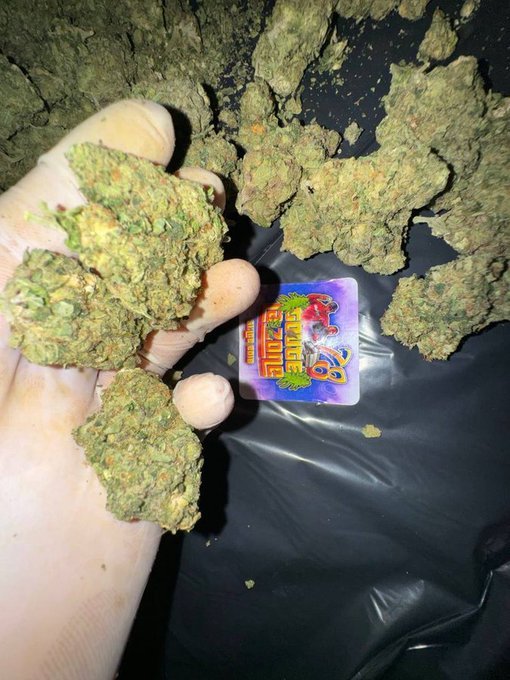 maruis715255424's tweet image. LIVRAISON &amp;amp; DIRECT WEED MANS  WEED EUROPE WEED LYON   WEED LILLE CONTACT WHATSAPP ￼ WhatsApp :+33753549295 
SNAP 🔥snapchat.com/add/kenzo8935

 #AMIENS #PAU
 #RMC🧕 #RTL #Europe1 #SudRadio #Ici #LCI #LCP #BFMTV #France24 #Cnews #Préfecture #LesGueux #DirectSenat #DirectAN