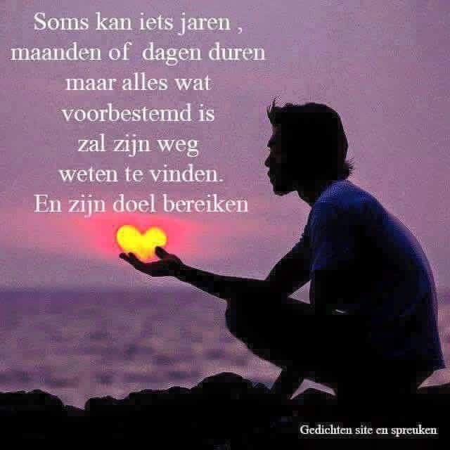 Anita Kuipers tweet media