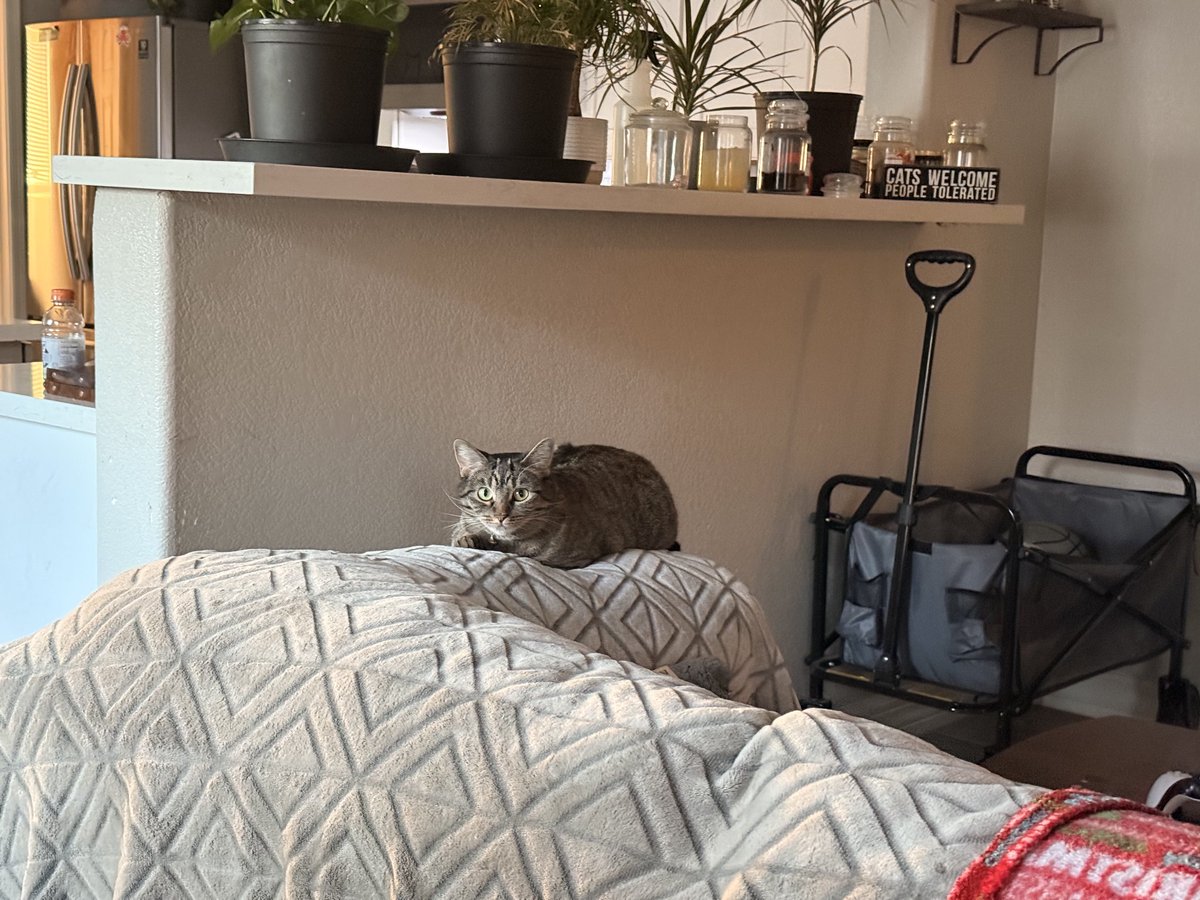 ʚ~Val~ɞ tweet media