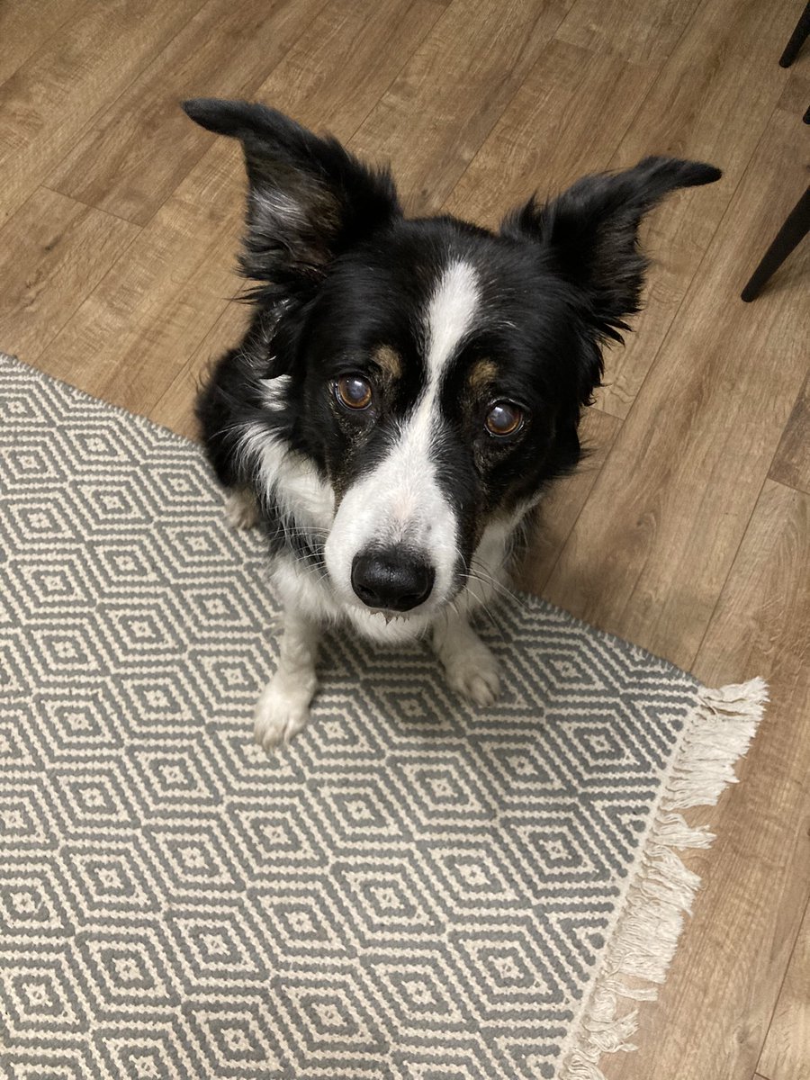 Lizzy Lou tweet media