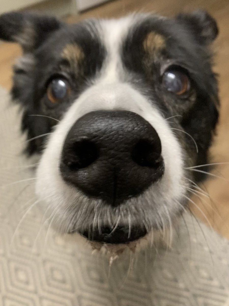 Lizzy Lou tweet media