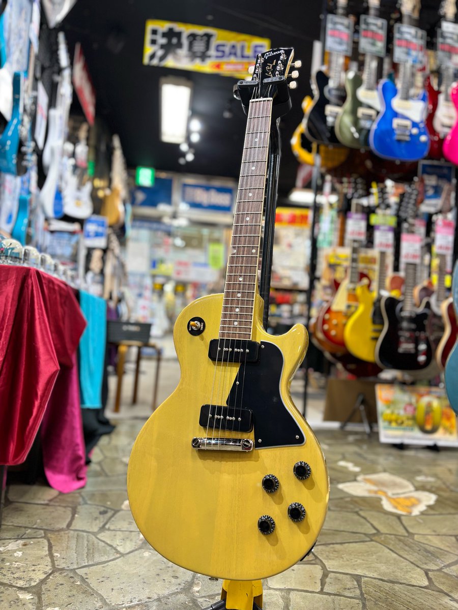 bbsapporock's tweet image. スタッフ澤田です🕊️

【GIBSON Les Paul Special】の紹介です♪

1955年に販売されたレスポールスペシャル・TVイエロー。そのクラシックなデザインは、今までに数多のギタリストを虜にしてきました！

Gibson購入迷っている方是非お待ちしております✨

#BIGBOSS