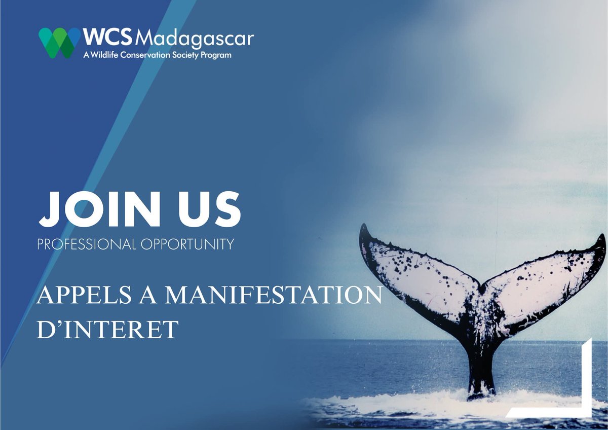 WCS Madagascar tweet media