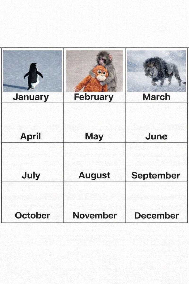 yo daddy alpha ( Tate association ) tweet media