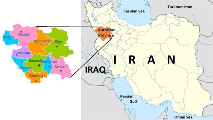 Megatron tweet media