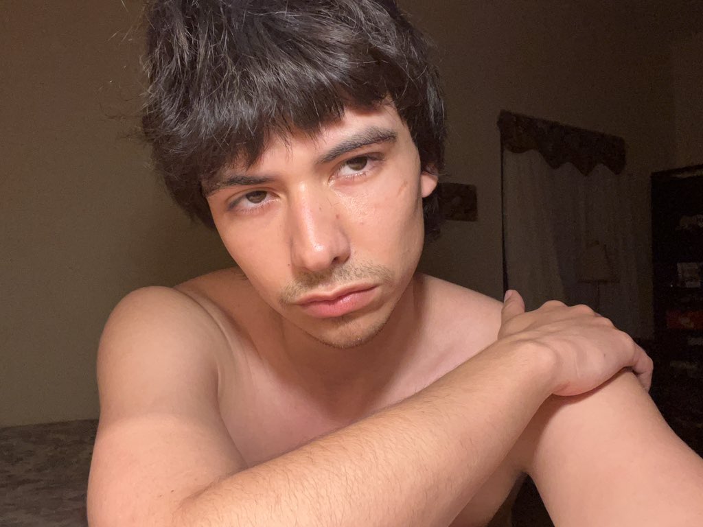 gatitomiau tweet media