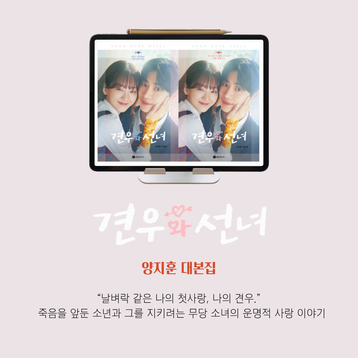 BIRDBOX(버드박스) tweet media
