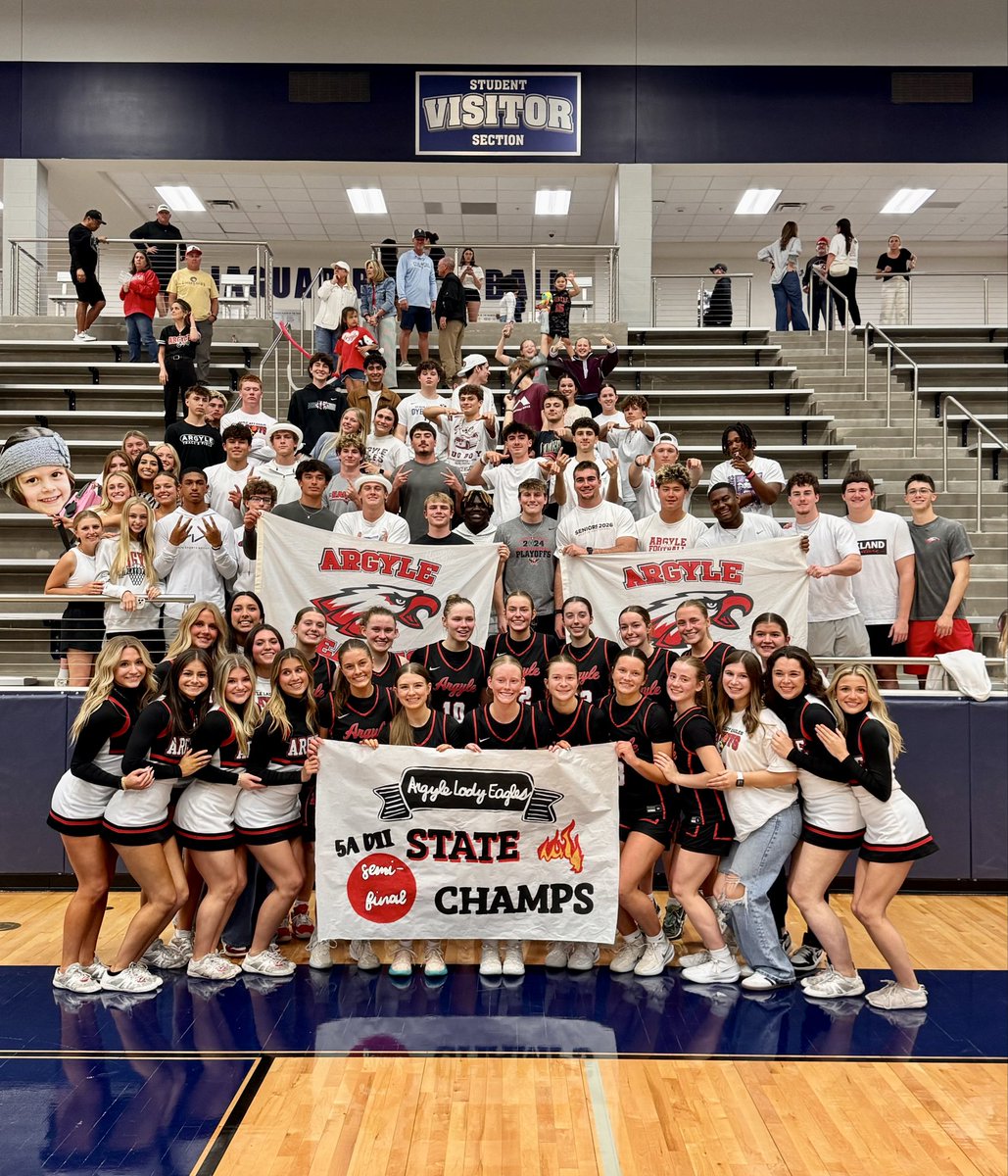 Shannon Knowles tweet media