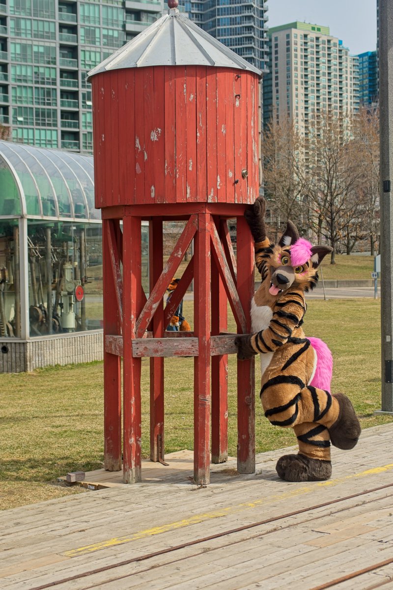 yeenexpress's tweet photo. Do trains get thirsty? 🥤🚂

Back when Steam Trains were common, they needed water in order to make steam, used produce propulsion (and other things).

Water towers helped steam trains fill back up on water at stops. This is a miniature version...

#TrainTuesday #Trains #Fursuit https://t.co/KAWpeL7GLQ