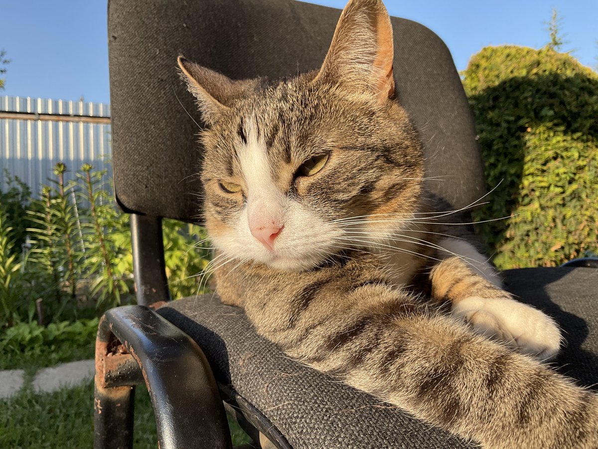 𝕯𝖊𝖗𝖔𝖐𝖔 🦋 tweet media