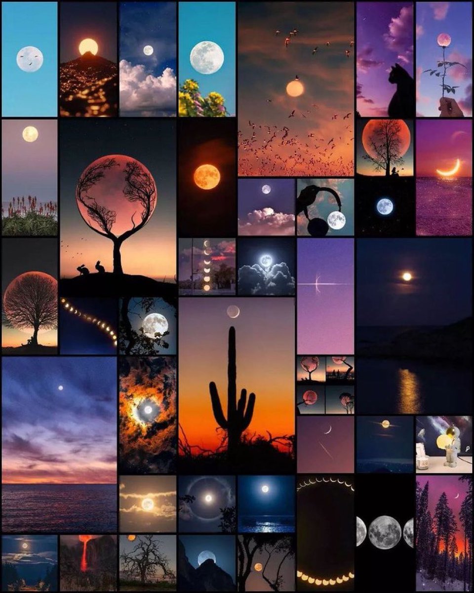aestheticspost_'s tweet photo. Moon lover. https://t.co/zrsrARMYeb