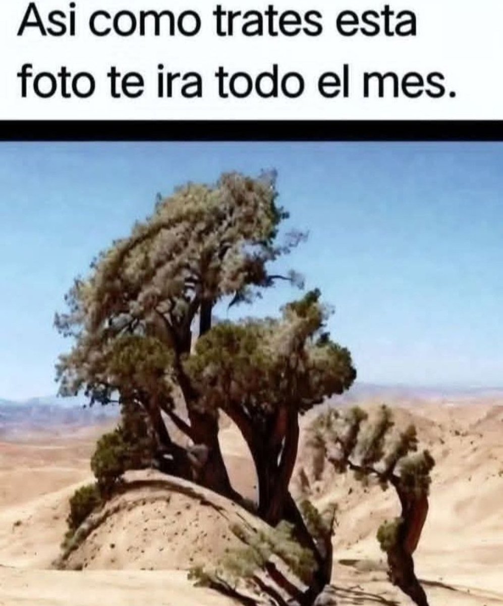 ojoalcielo_'s tweet photo. https://t.co/yQVpeShGKJ