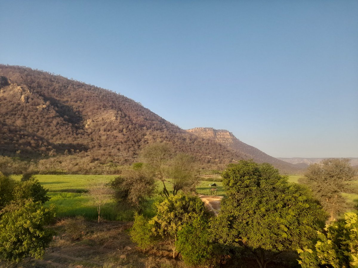 Rk05116506's tweet photo. Good morning...
@farmlife 
@nature https://t.co/PUkep3EfsI