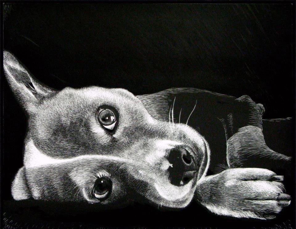 Buddy
9” x 12” scratchboard 🐾