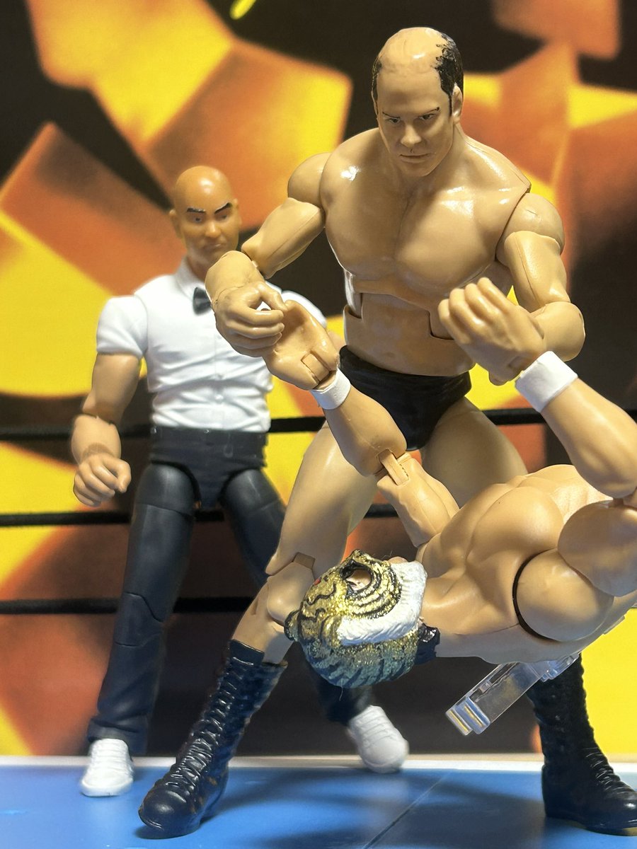 1982年3月4日、後楽園ホール　MSGシリーズ前夜祭

WWF Jr.ヘビー級選手権
王者タイガーマスク対スティーブ・ライト

ライトは急遽参加が決まったにもかかわらず、前夜祭と最終蔵前国技館でのタイトルマッチが組まれた→新日マネジメントの評判が良かった筈だが、多くのちびっ子には人気がなかったの？