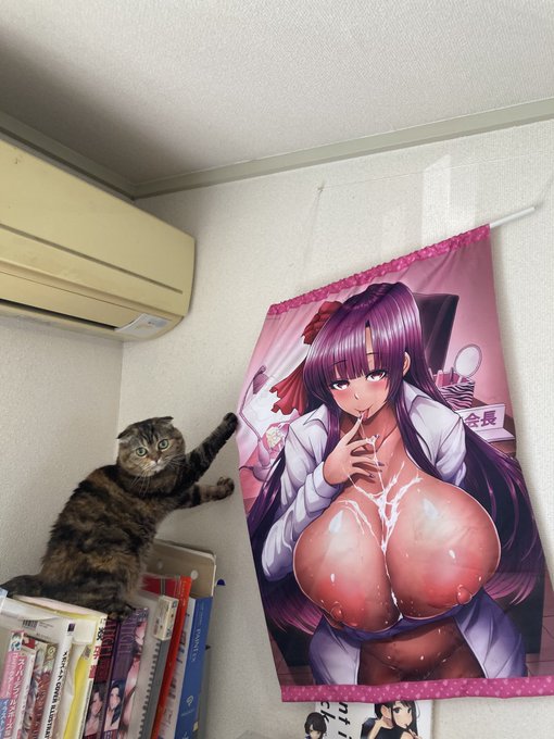 こっち見てドヤ顔でタペストリーをバリッてる猫( ΦωΦ )('Д` )やめてくれよ 