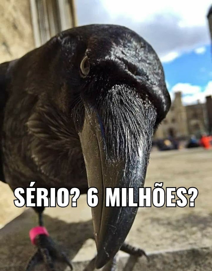 Josivaldo tweet media