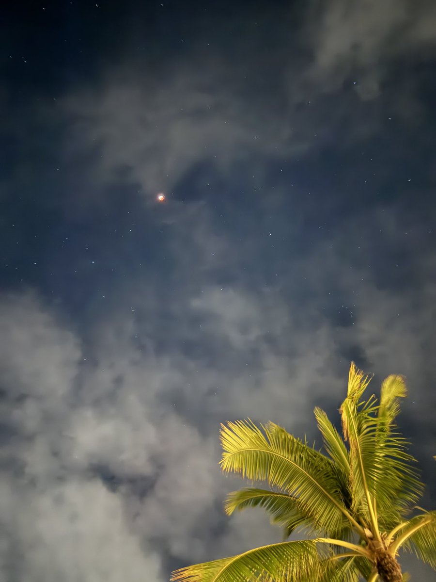 RADICALRP tweet media