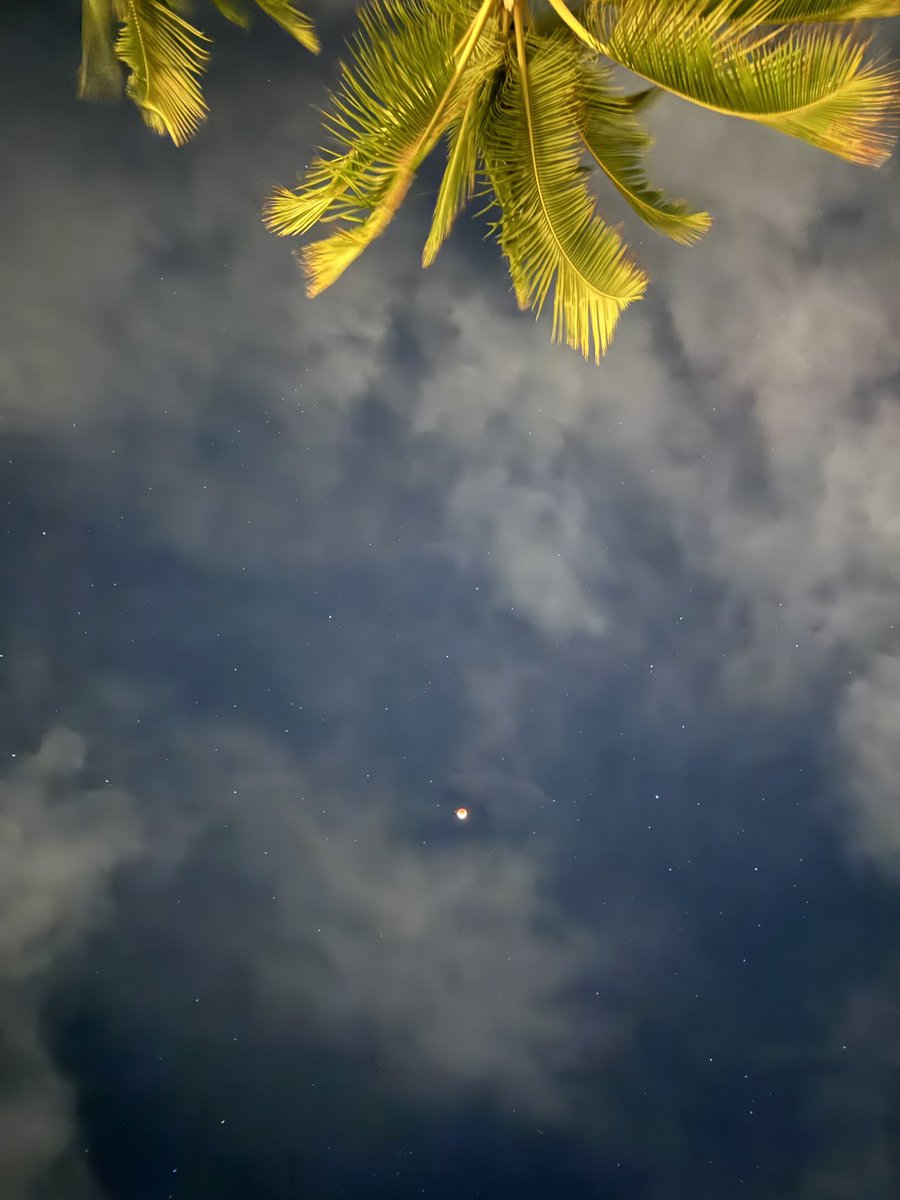 RADICALRP tweet media