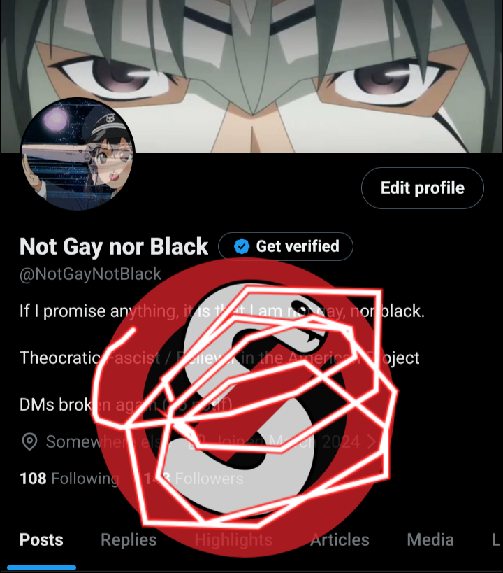 Not Gay nor Black (@NotGayNotBlack) / Posts / X